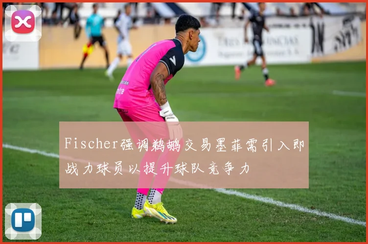 Fischer强调鹈鹕交易墨菲需引入即战力球员以提升球队竞争力